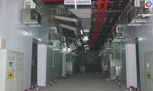 開開眼界 食用菌工廠化培育環境系統工程現場實拍 樹上鳥教育