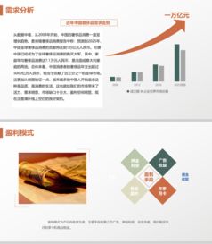 電商b2c 共享租衣 新零售電商模式 衣二三 b2c 女神派