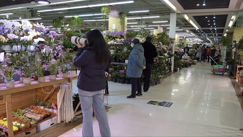 實(shí)探即將閉店的花卉市場(chǎng) 市民趁商家甩賣提前購(gòu)置春節(jié)用品